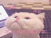 常州常裕商务信息咨询有限公司
