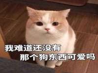 常州常裕商务信息咨询有限公司