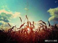 常州常裕商务信息咨询有限公司
