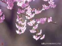 常州常裕商务信息咨询有限公司