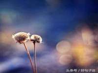 常州常裕商务信息咨询有限公司