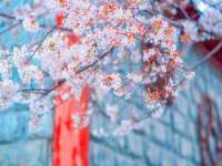 常州常裕商务信息咨询有限公司