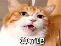 常州常裕商务信息咨询有限公司