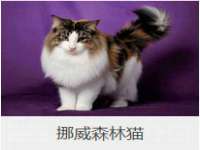 常州常裕商务信息咨询有限公司