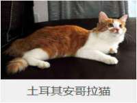 常州常裕商务信息咨询有限公司