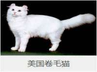 常州常裕商务信息咨询有限公司