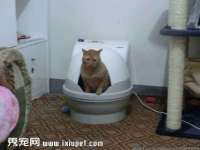常州常裕商务信息咨询有限公司