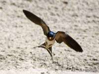 常州常裕商务信息咨询有限公司