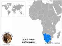 常州常裕商务信息咨询有限公司