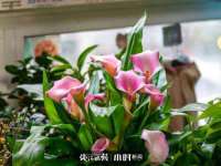 常州常裕商务信息咨询有限公司