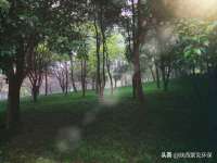 常州常裕商务信息咨询有限公司