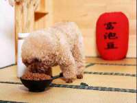 常州常裕商务信息咨询有限公司