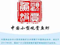 常州常裕商务信息咨询有限公司
