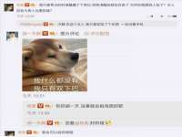 常州常裕商务信息咨询有限公司
