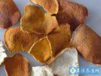 常州常裕商务信息咨询有限公司