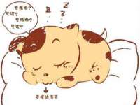 常州常裕商务信息咨询有限公司