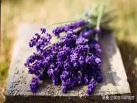 常州常裕商务信息咨询有限公司